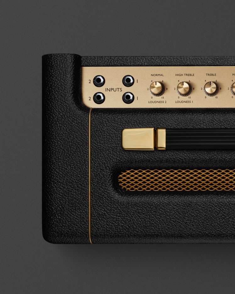 Coperchio Imbottito RIGG Per Amplificatore Marshall SV20C &ndash; Protezione USA