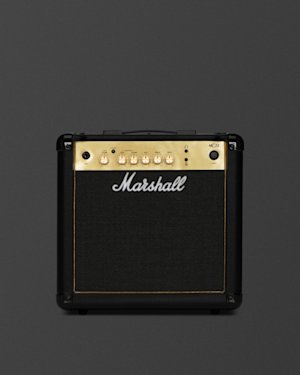 Upper part of the Marshall MG15G Combo showing details.