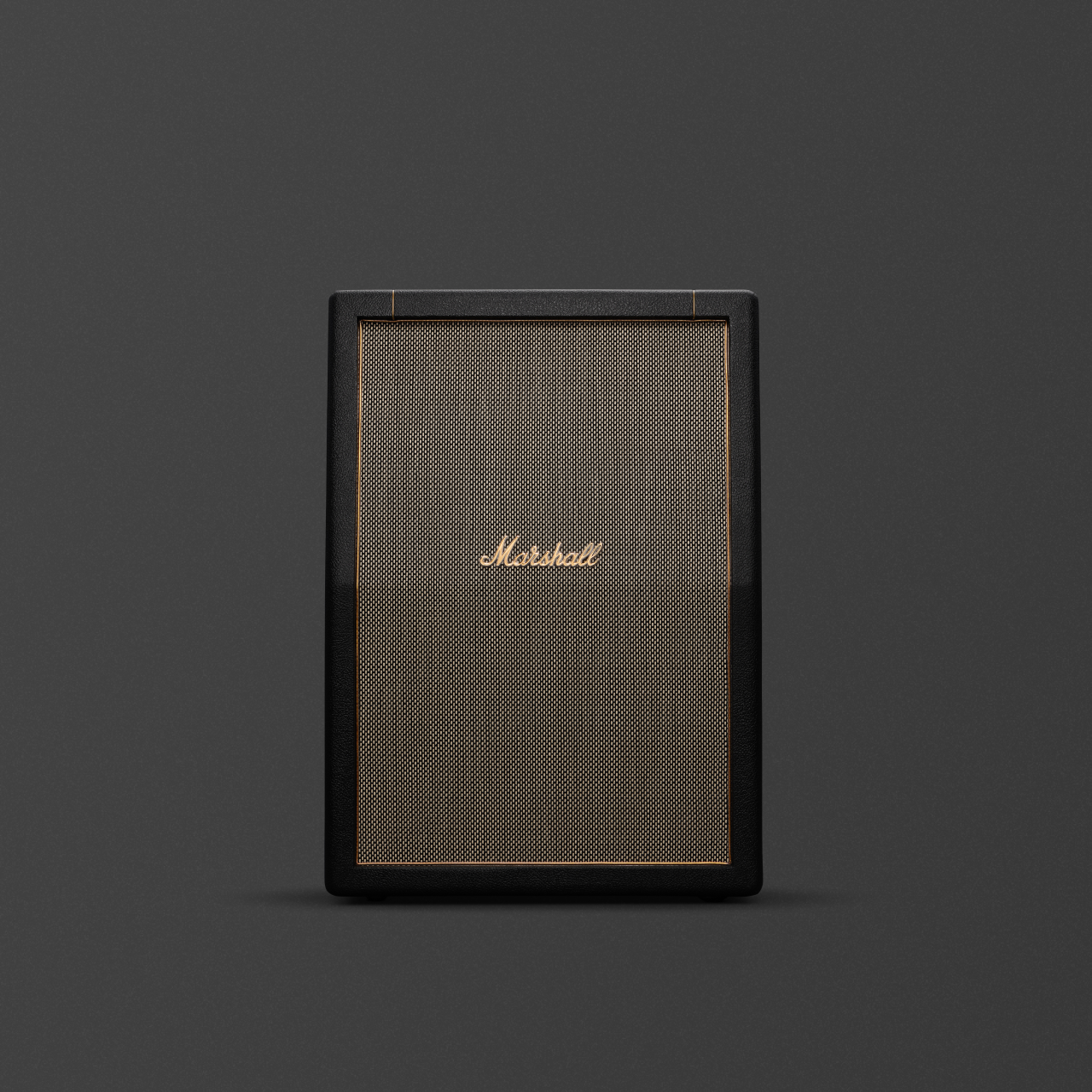 The Studio Vintage 2x12 Angled Cabinet front view. 