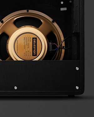 View from the back of the speaker inside the Marshall JTM Combo amplifier