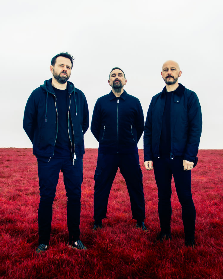 'Therapy?', the band