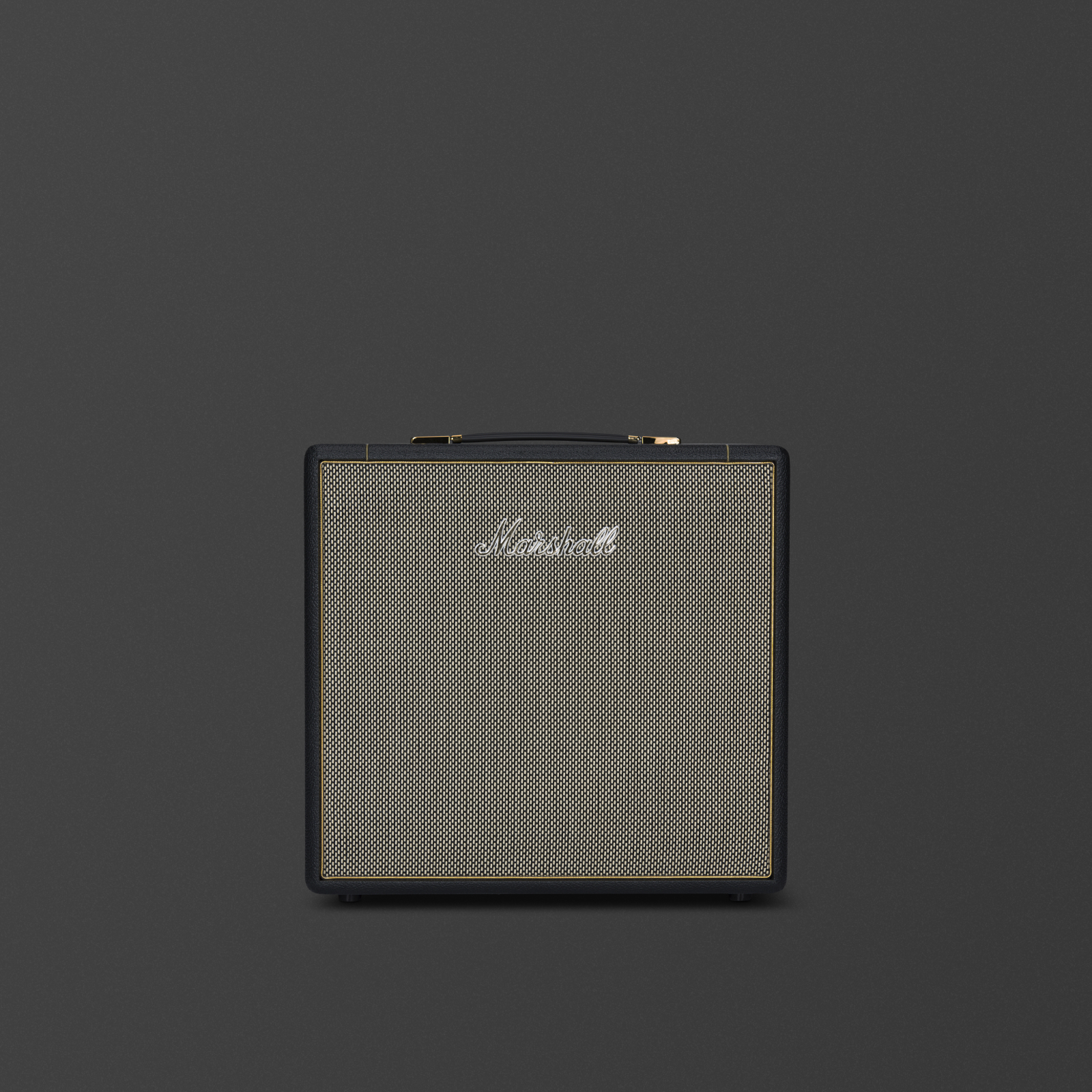 Image of the front of the Marshall SV112 Cabinet