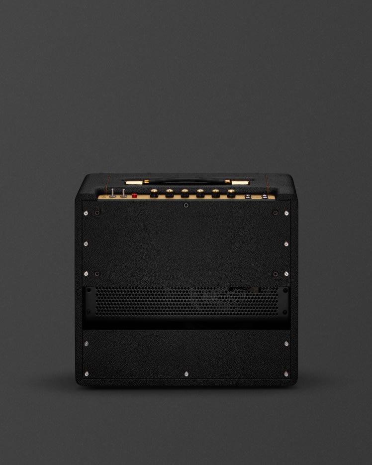 Back of a Combo SV20C - Studio Vintage