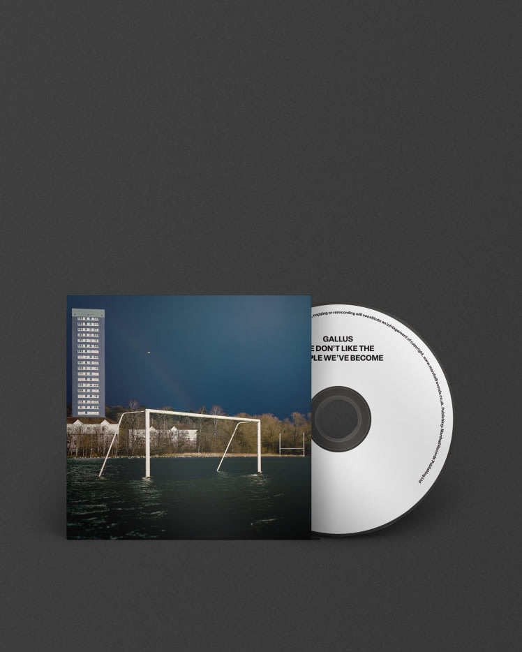 A white We Don't Like The People We've Become CD with an image of a bridge in Gallus, Marshall.