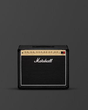 Front panel layout of the DSL40 Combo on the Support Articles page.