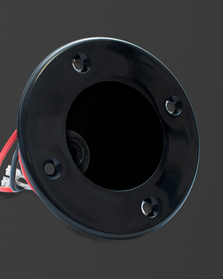 La imagen ampliada de la placa Jack Socket de Marshall.