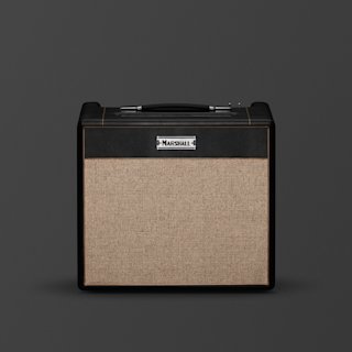 Compact vintage-style ST20C combo amp with fawn fret and gold piping.