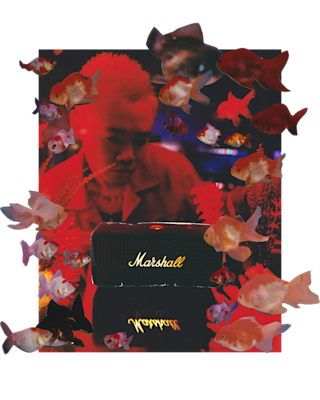 The Marshall Emberton II Black Portable Speaker in front of a red collage of fishes and Bohan Phoenix.