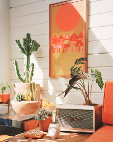 A living room with cactus plants and a cream Marshall speaker.