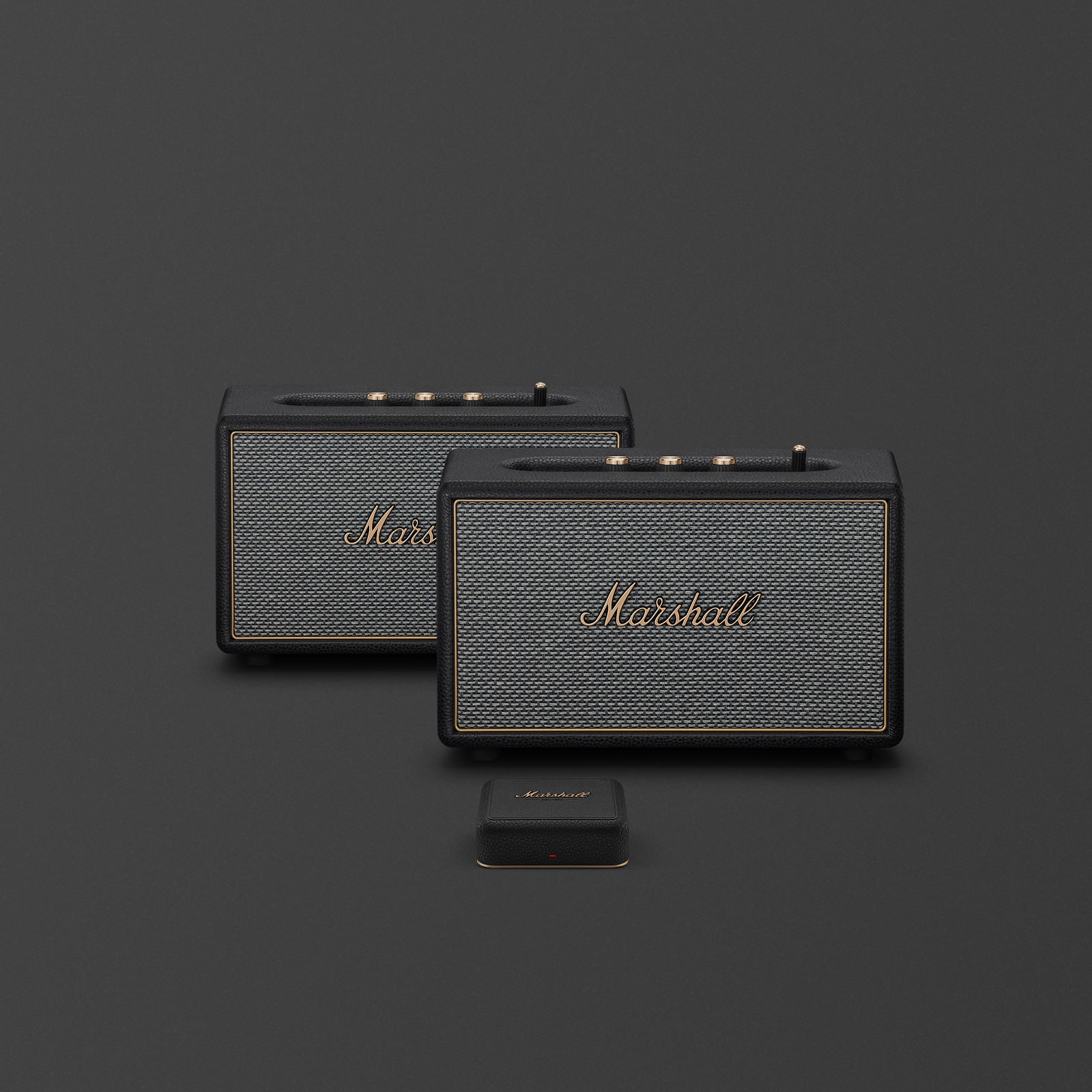 marshall-2x-acton-iv-