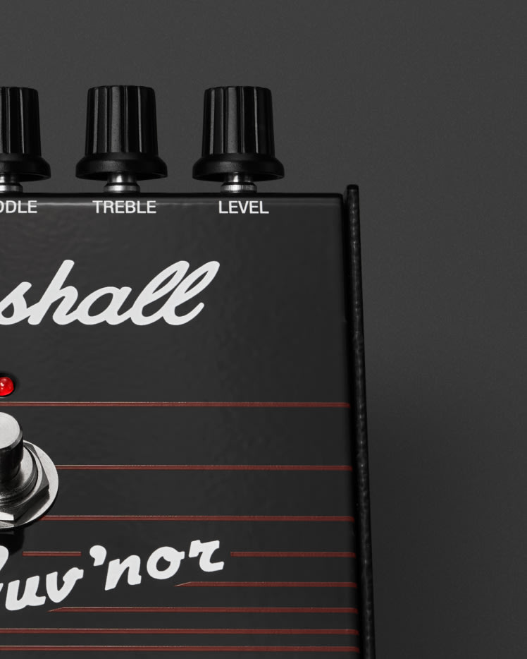 Zoomed image on the control knobs 'Treble' and 'Level' on the Guv'nor Vintage Reissue Pedal.