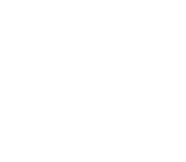 Tech Specs - Icon - RCA