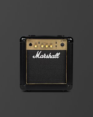 Front panel layout of the MG10 Combo on the Support Articles page.