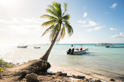 beach-landscape-in-the-dominican-republic-saona-i-2026-03-20-03-54-57-utc