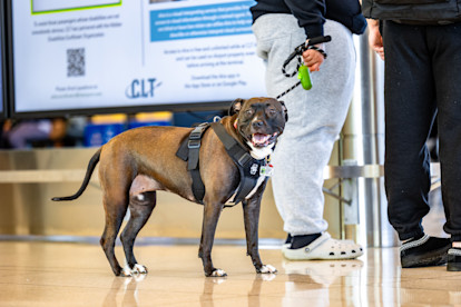 Passengers 1-13-26 (3 of 15)