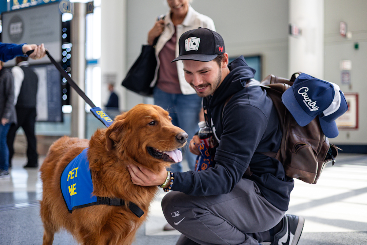 man pets a brown therapy dog in the CLT airport terminal