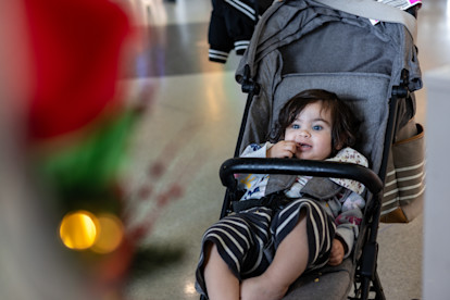 Festival of the Trees 11-18-25 (11 of 19)