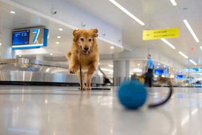CMPD K9 8-20-25 (24 of 27)