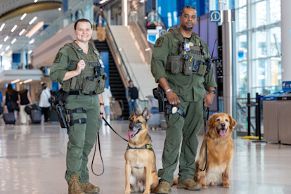 CMPD K9 8-20-25 (1 of 27)