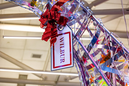 Holiday Reindeer 2025 11-25-25 (2 of 3)