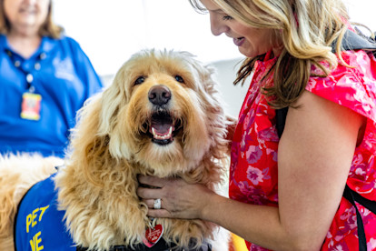 Main Photo for Canine Story