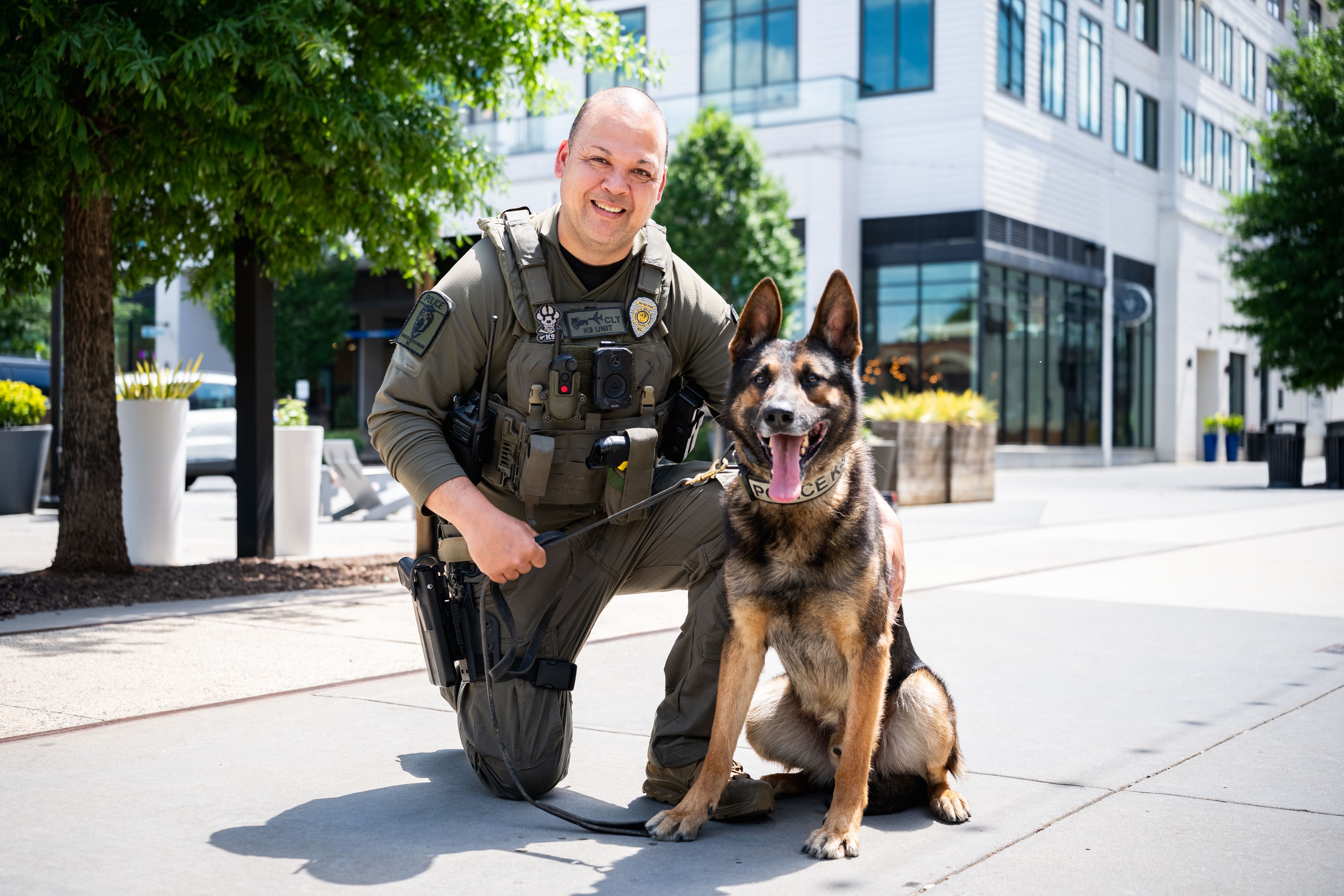 K9 Ozzy City View