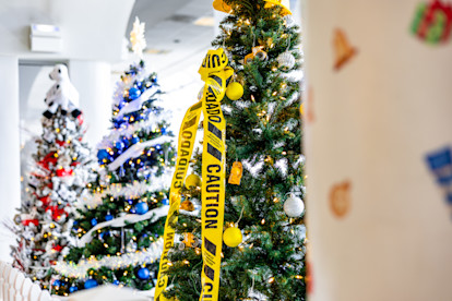 Festival of the Trees 11-18-25 (10 of 19)