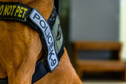 CMPD K9 2-7-23 (9 of 28)