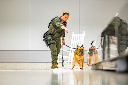 CMPD K9 8-20-25 (2 of 27)