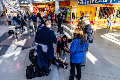 Canine Crew Mahjong 12-10-25 (9 of 25)