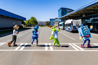 Zippy-Homer-Hugo-Norm Abbey Road