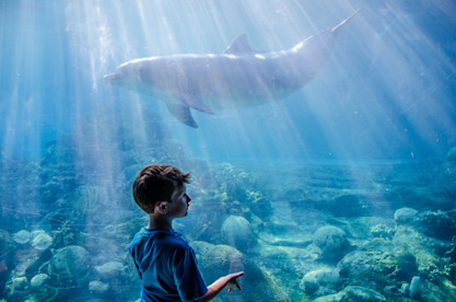 magical-moment-at-sea-world-orlando-2026-03-13-04-15-17-utc
