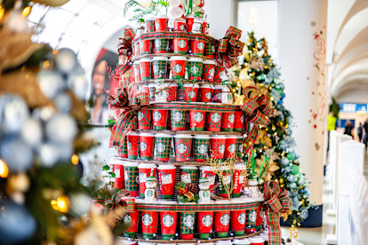 Festival of the Trees 11-18-25 (5 of 19)