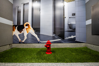 Pet Relief Areas 1-13-26 (7 of 8)