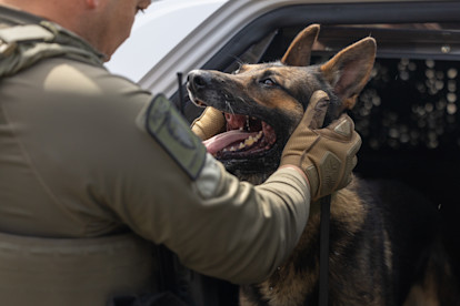 The bond K9 Ozzy