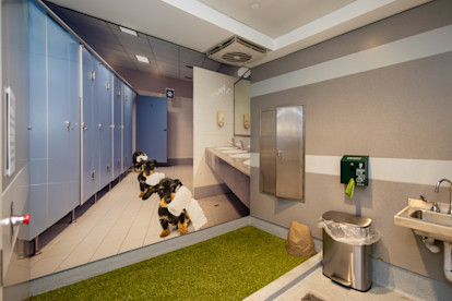 Pet Relief Areas 1-13-26 (1 of 8)