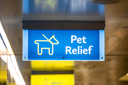 Pet Relief Areas 1-13-26 (3 of 8)