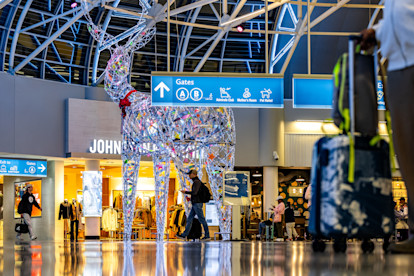 Holiday Decorations 2025 11-25-25 (12 of 19)