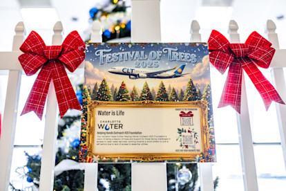 Festival of the Trees 11-18-25 (15 of 19)