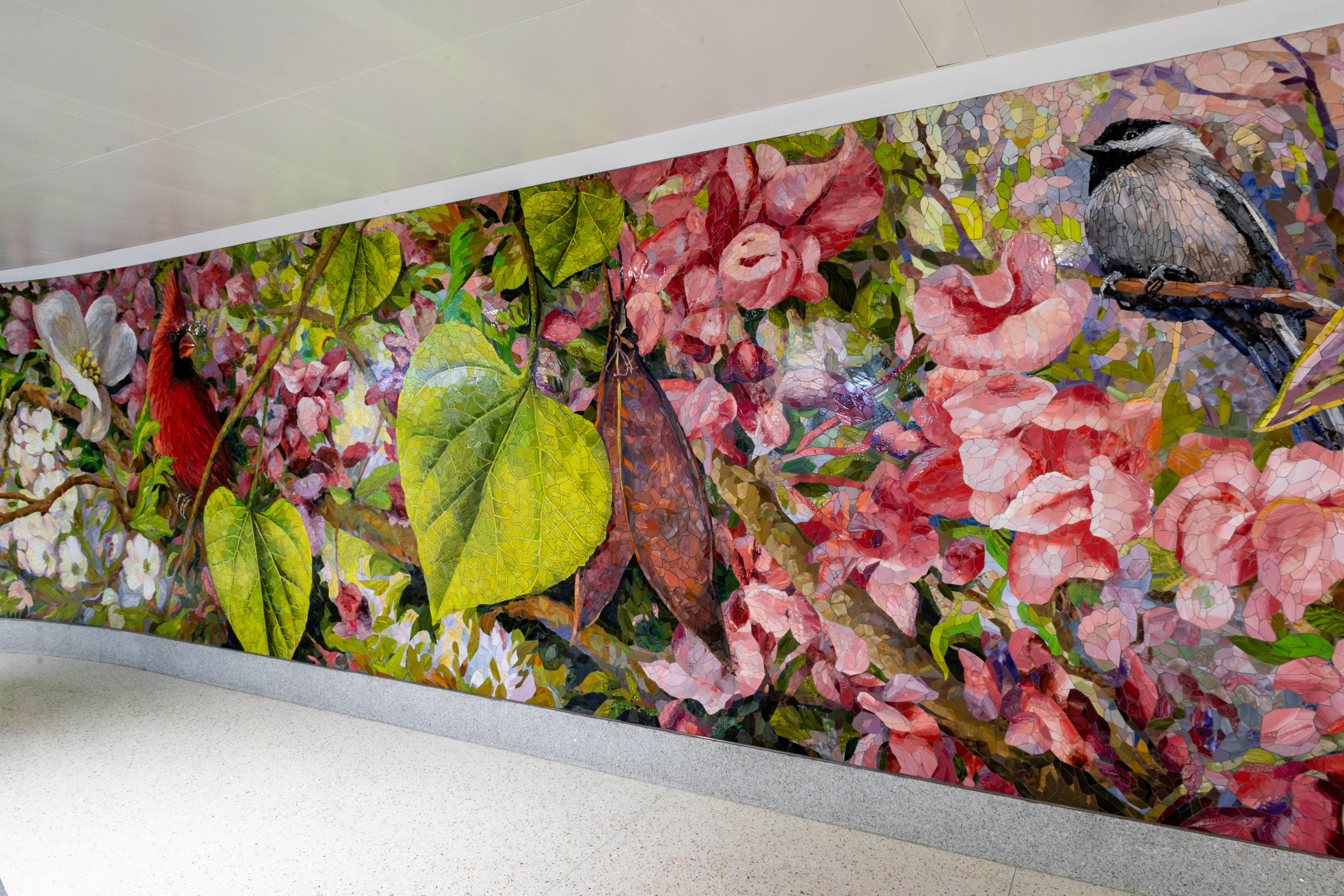 Carolina Canopy” Brings Life to International Arrivals' Walls