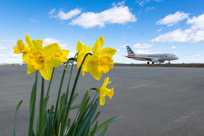 Spring flowers 2025 000