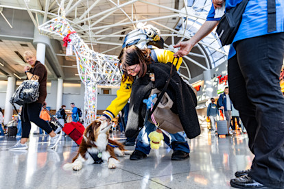 Canine Crew Mahjong 12-10-25 (13 of 25)
