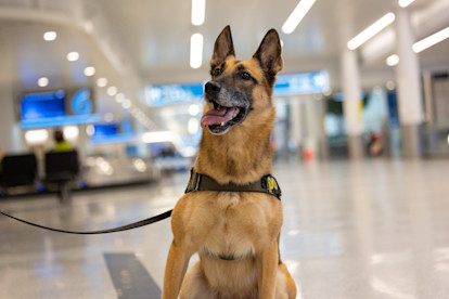 CMPD K9 8-20-25 (5 of 27)