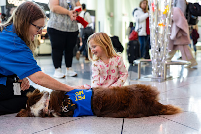 Canine Crew Mahjong 12-10-25 (21 of 25)