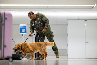 CMPD K9 8-20-25 (6 of 27)