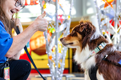 Canine Crew Mahjong 12-10-25 (18 of 25)