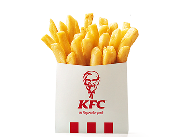 SAMSUNG - ケンチキ品 Kentucky Fried Chicken] Introducing the recommended products