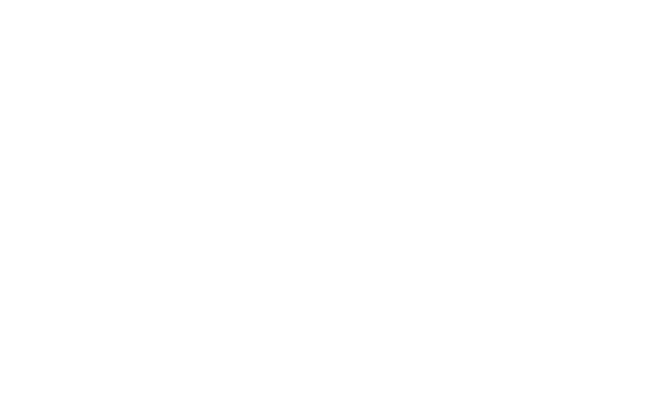 +100チキンマイル