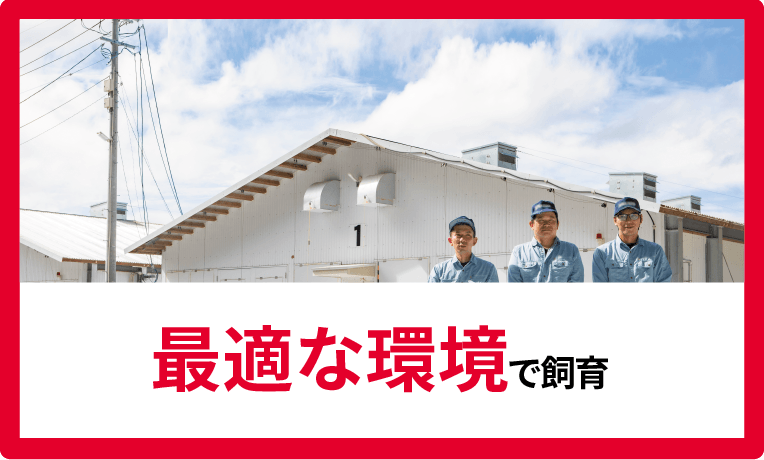 最適な環境で飼育