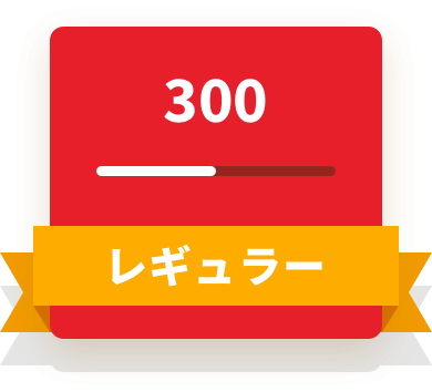 300 レギュラー